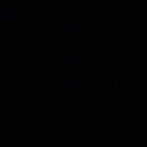 Meet your Posher, Ericka